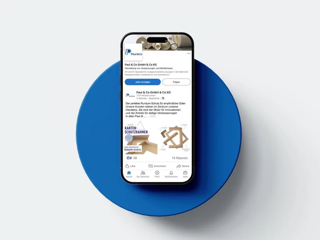 LinkedIn-Grafik für Paul & Co mit modernem Corporate Design